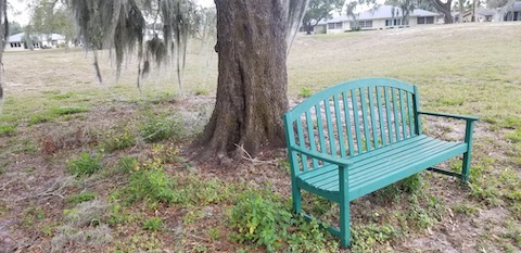Neighbor's bench