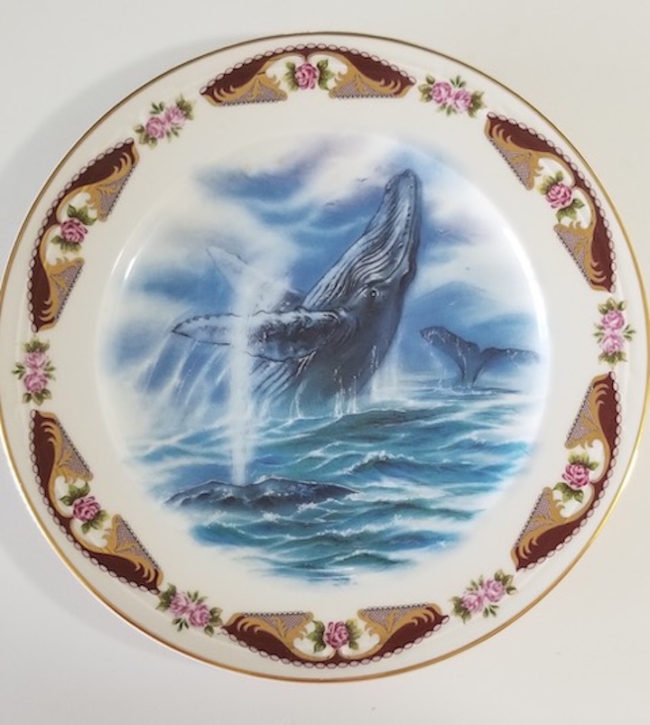 Whale plate