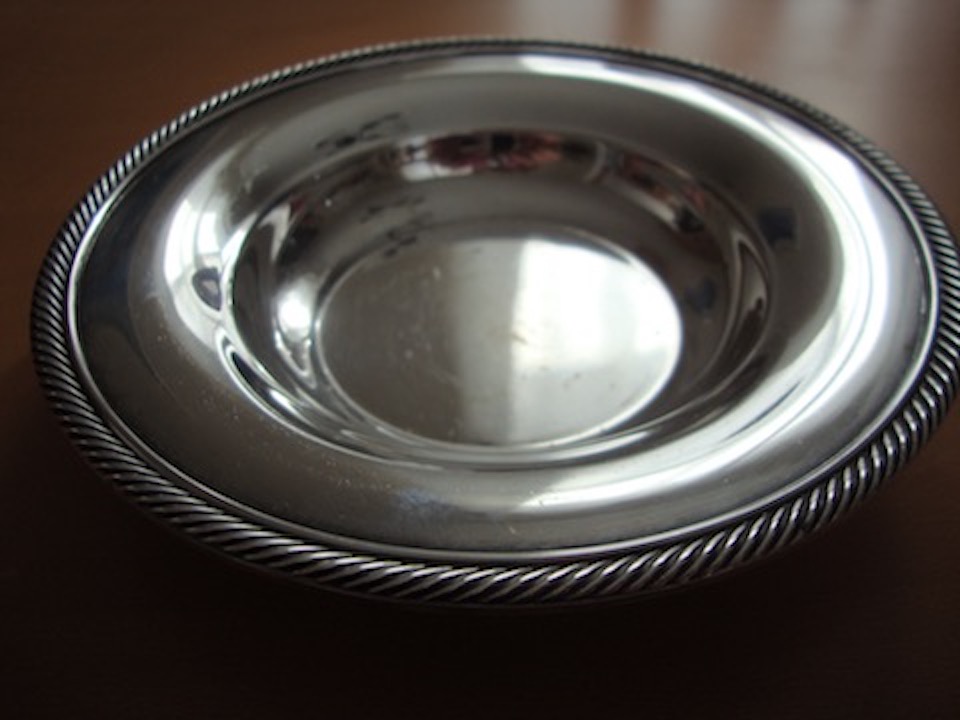 silverropedish